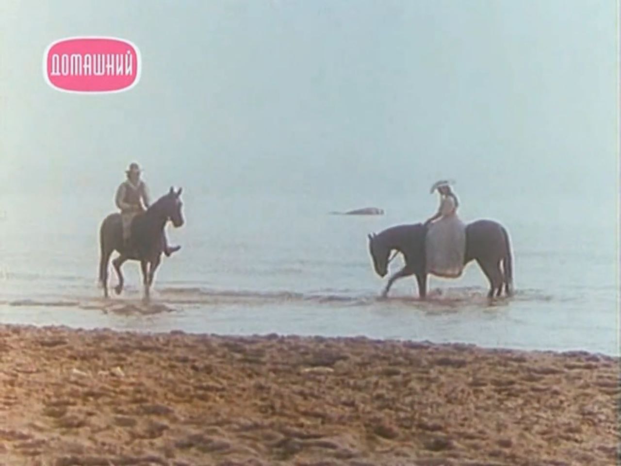 نمایی از فیلم