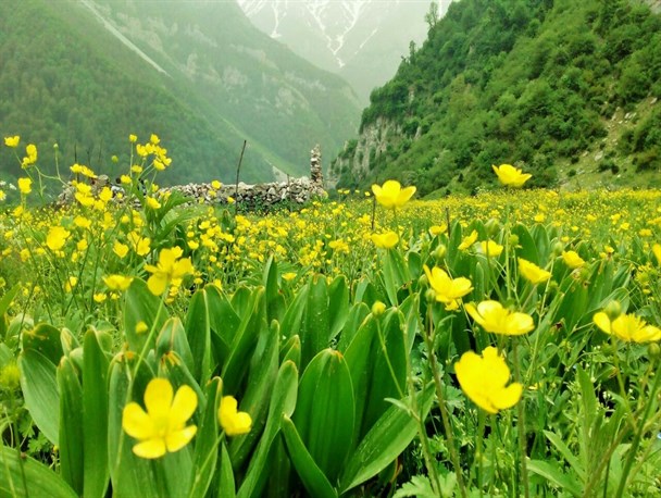 دعا برای رفع کدورت و آشتی بین خانواده ها 