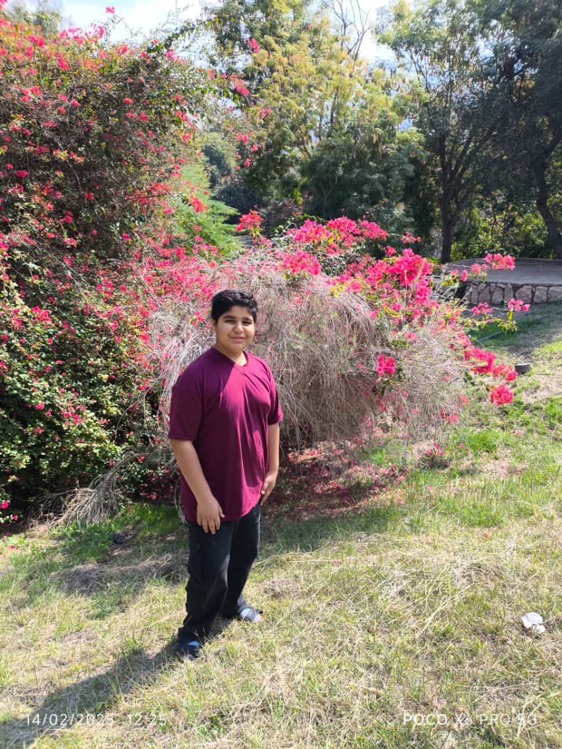 سهیل آل عمران