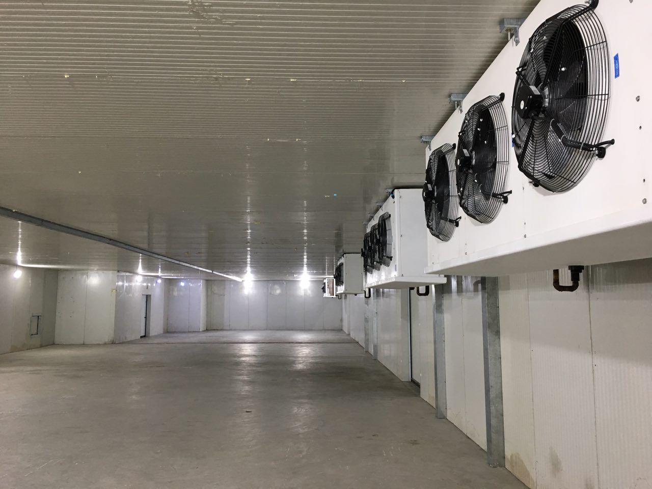 کاربرد سردخانه صنعتی در نگهداری گوشت مرغ