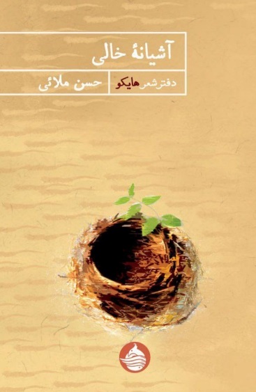 تصویر جلد کتاب آشیانه خالی