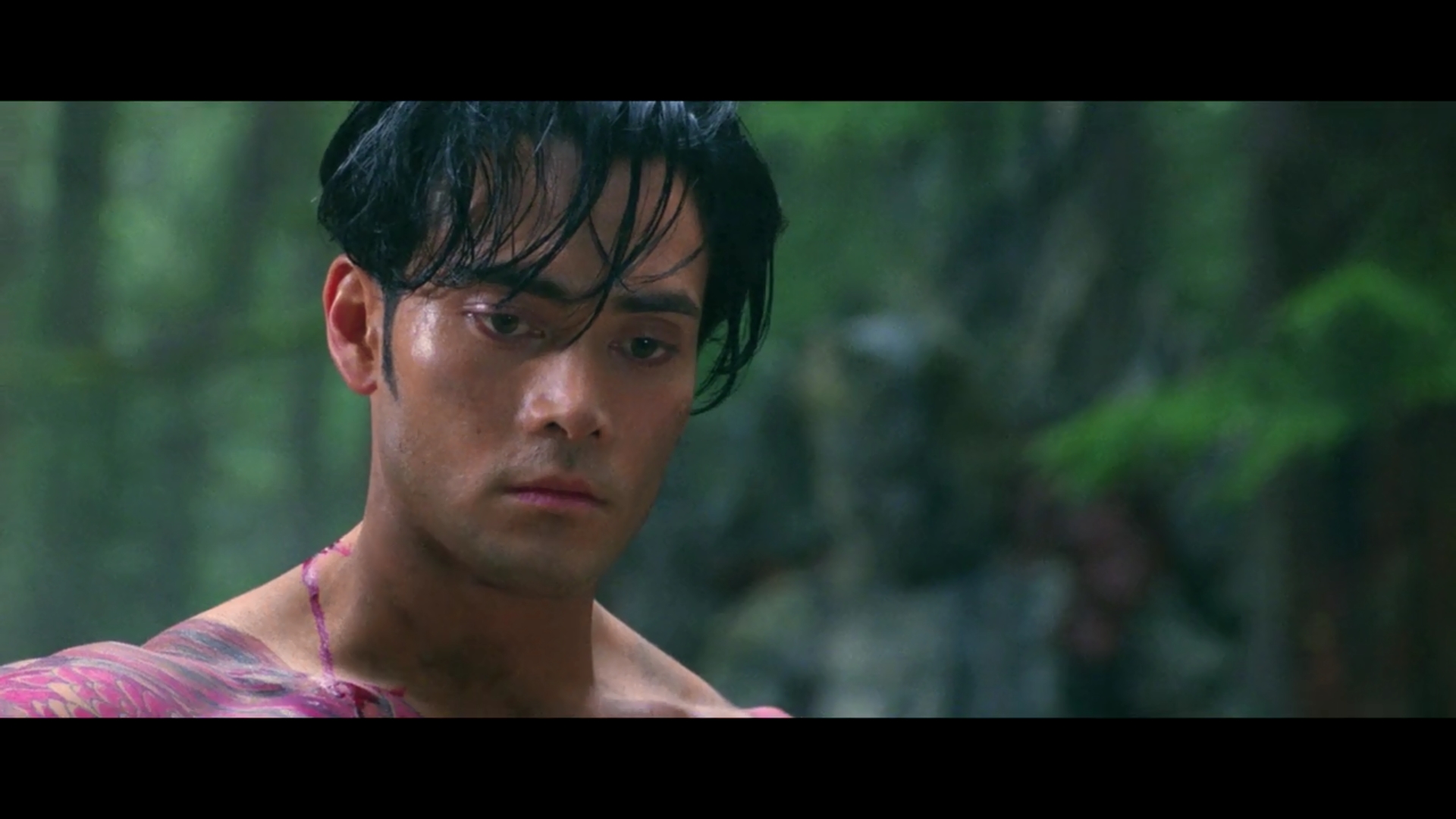 اژدهای قهرمان 1995