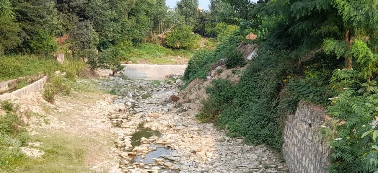 چند نوع تصویر