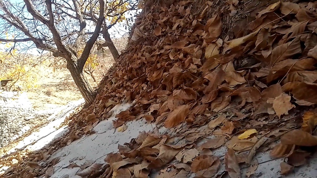 تپه روستای زشک- خاک فقیر