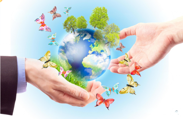 🍄فضای مجازی و اخلاق محیط زیست (۱)