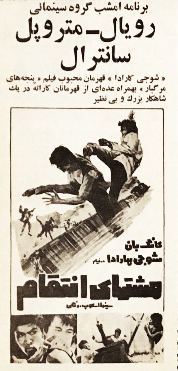 مشتهای انتقام