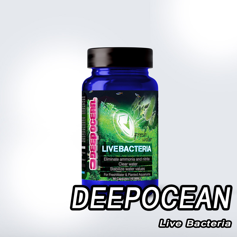 باکتری کپسولی دیپ اوشن