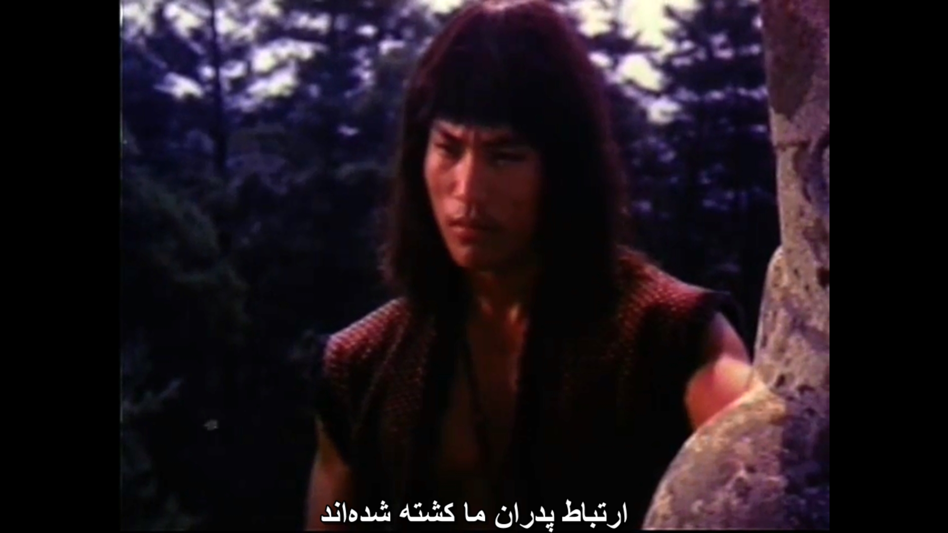 Bruce_Lee_s_Ways_of_Kung_Fu