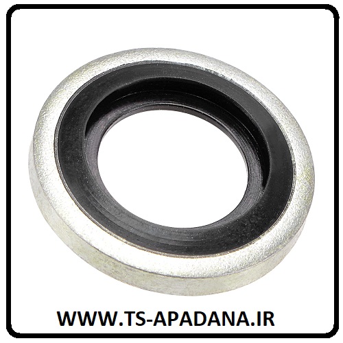 واشر بلویل، واشر شکل بلویل، واشرهای بلویل، واشر فلزی بلویل، Dome Spring Washer