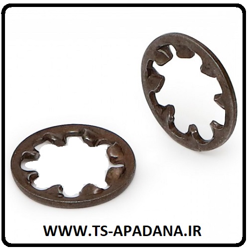 خار واشری، خار واشردار، خار واشر دار، واشر خاری، خار های واشری، خار واشر فلزی، خار و واشر