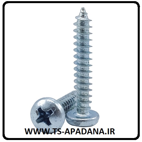 پیچ خودرو نوک تیز، پیچ خودرو پیچگوشتی خور، پیچ خودرو 2سو، پیچ خودرو 4سو، پیچ خود رونده، پیچ خودرو سر تیز