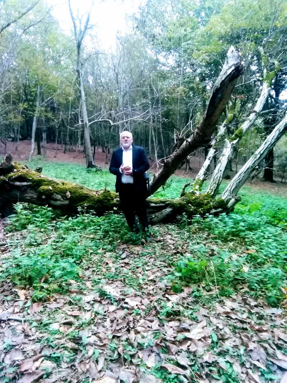 آغوزی جنگل چلکاچین دارابکلا