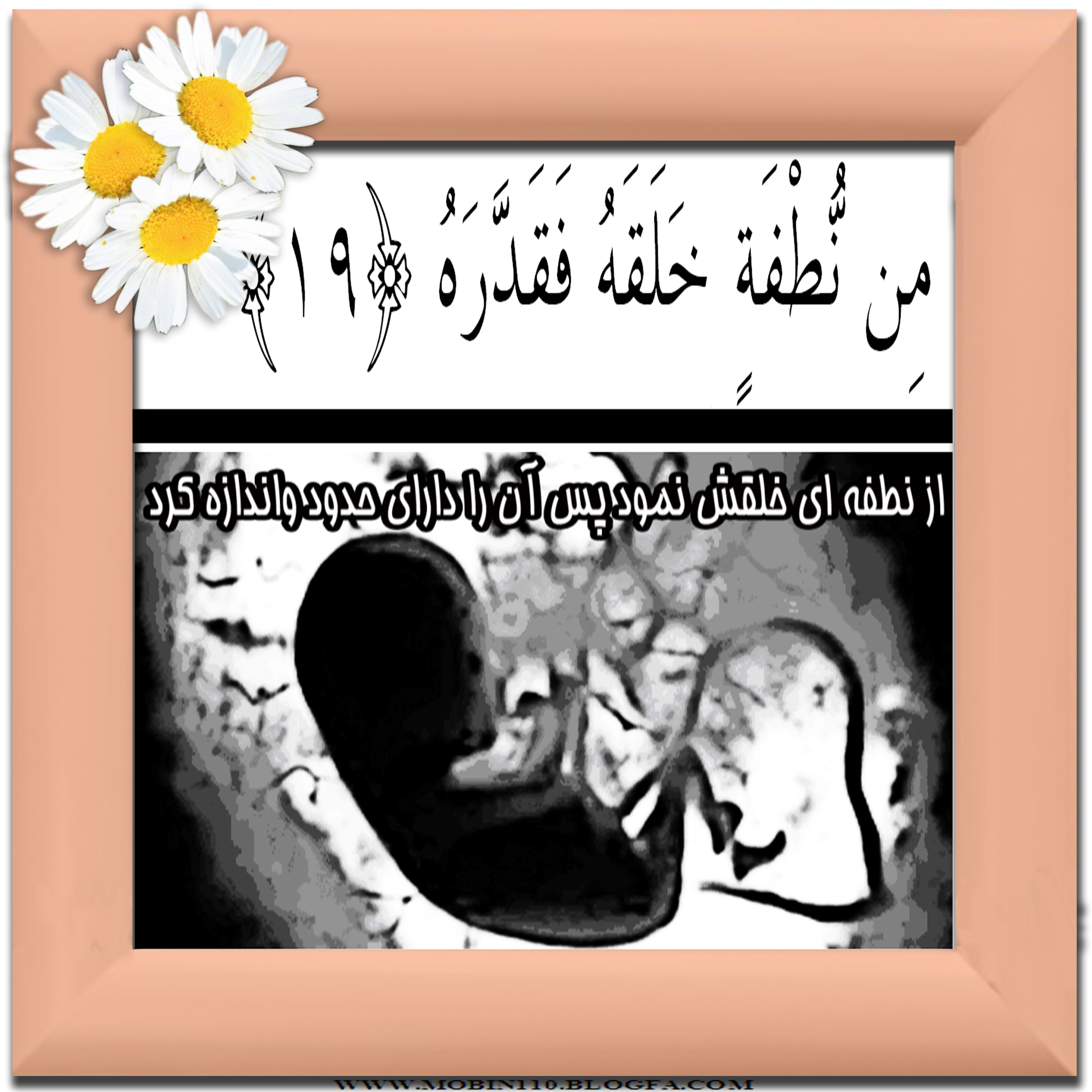 کارت سوره مبارکه عبس، نقاشی سوره مبارکه عبس، نقاشی کتاب کودک