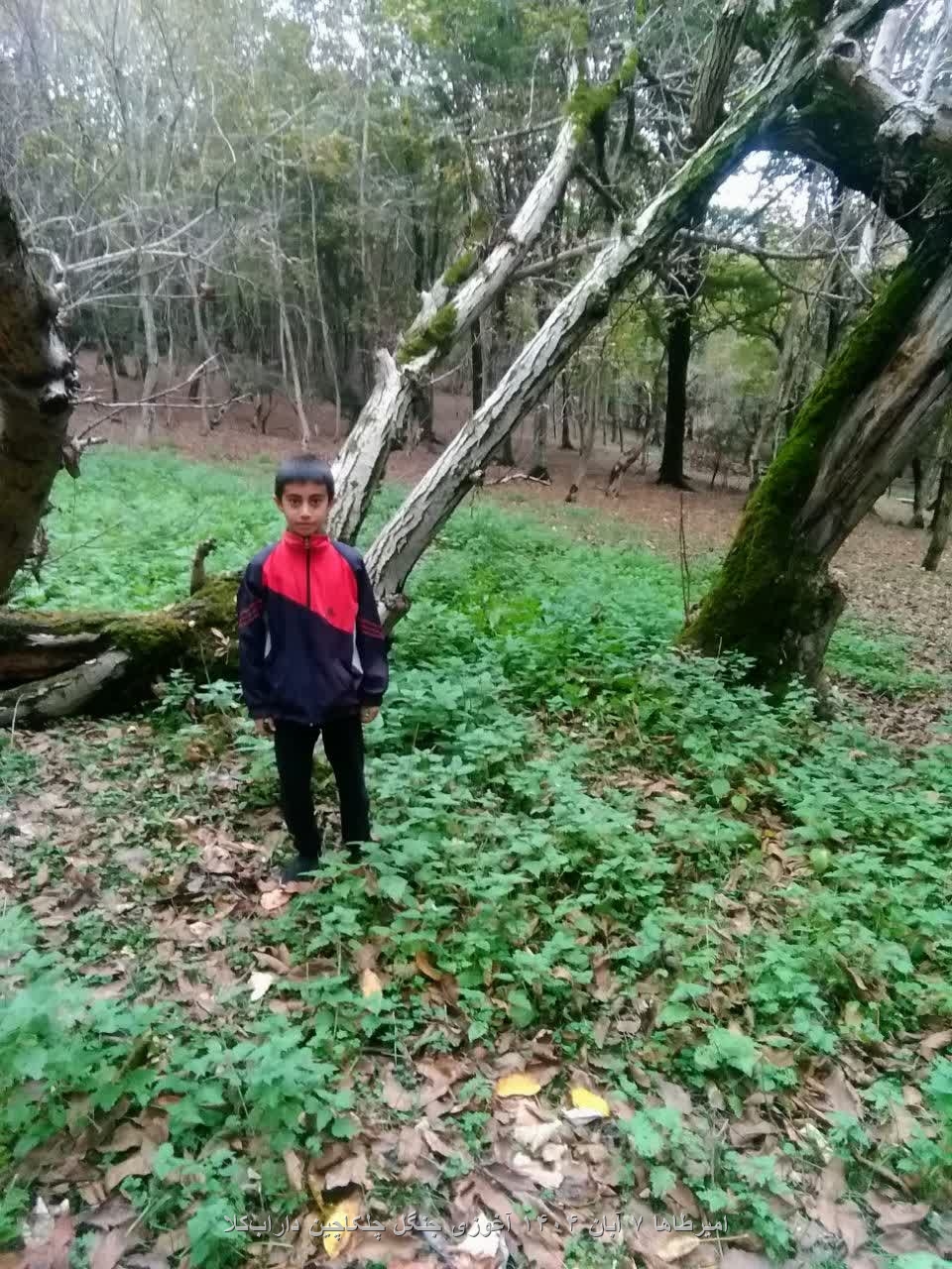 امیرطاها ۷ آبان ۱۴۰۴ آغوزی جنگل چلکاچین دارابکلا
