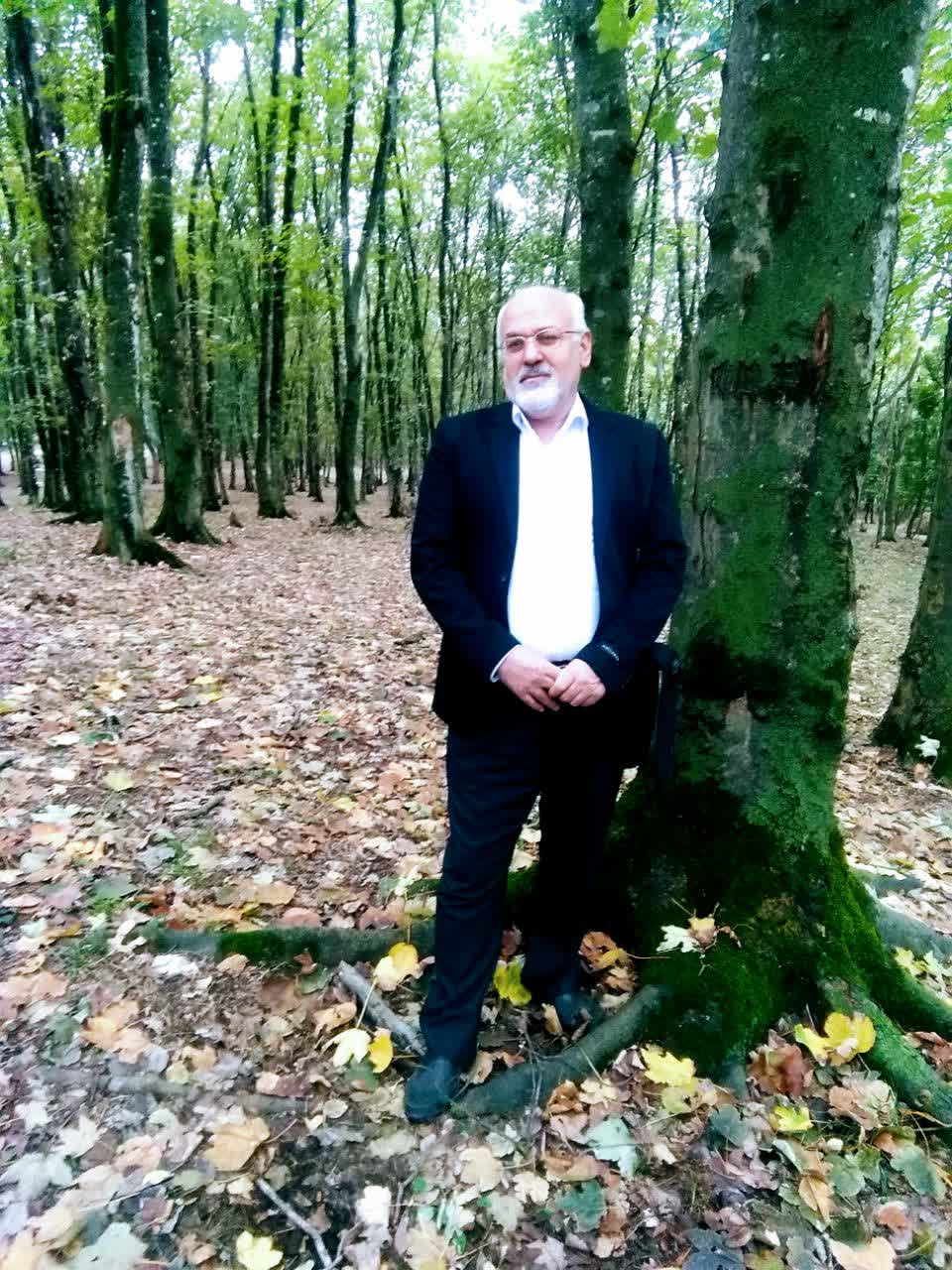 آغوزی جنگل چلکاچین دارابکلا، دامنه