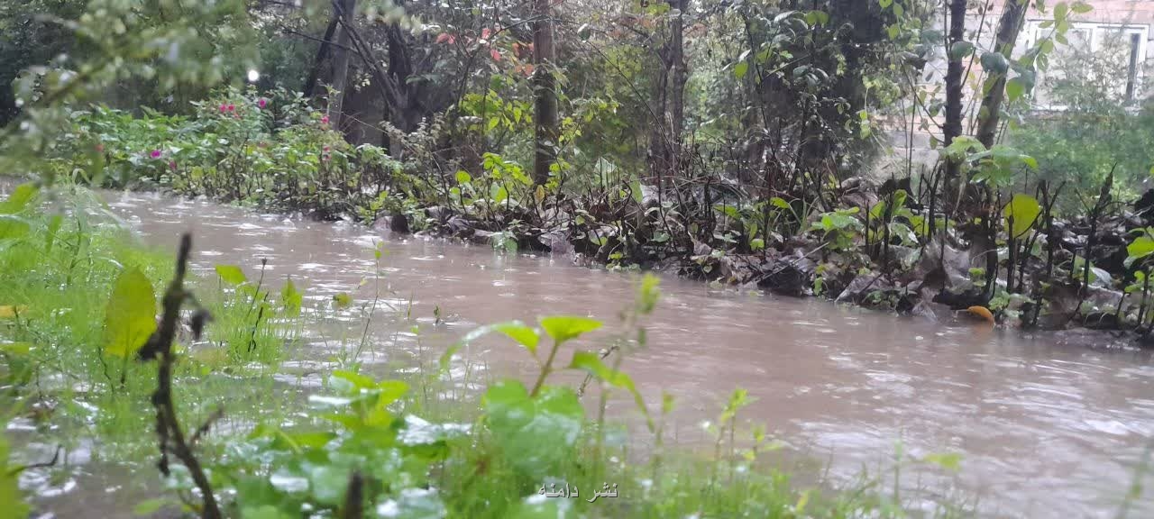 باران در ثبت امیرطاها