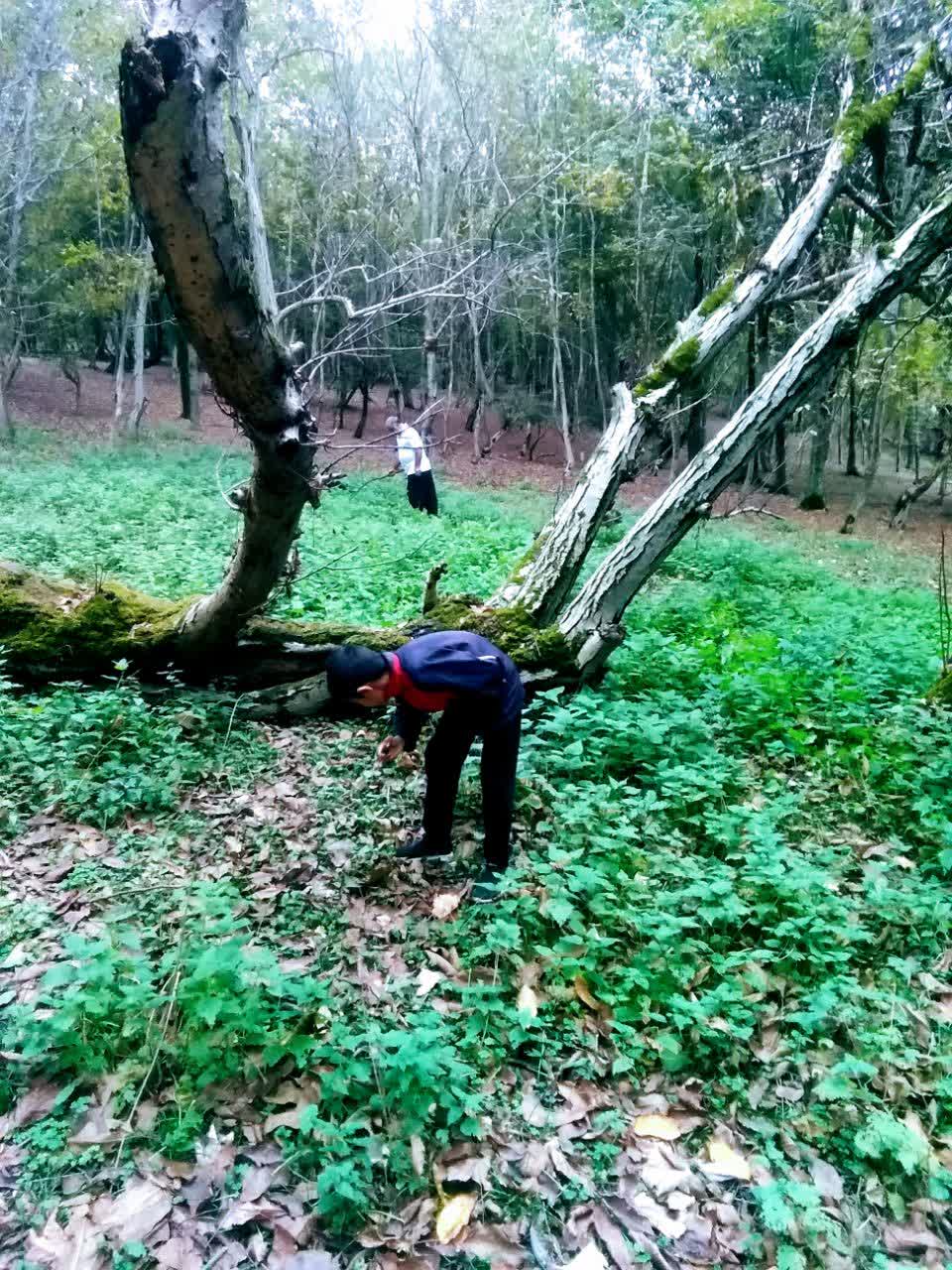 امیرطاها و حمید آغوز جمعکنی