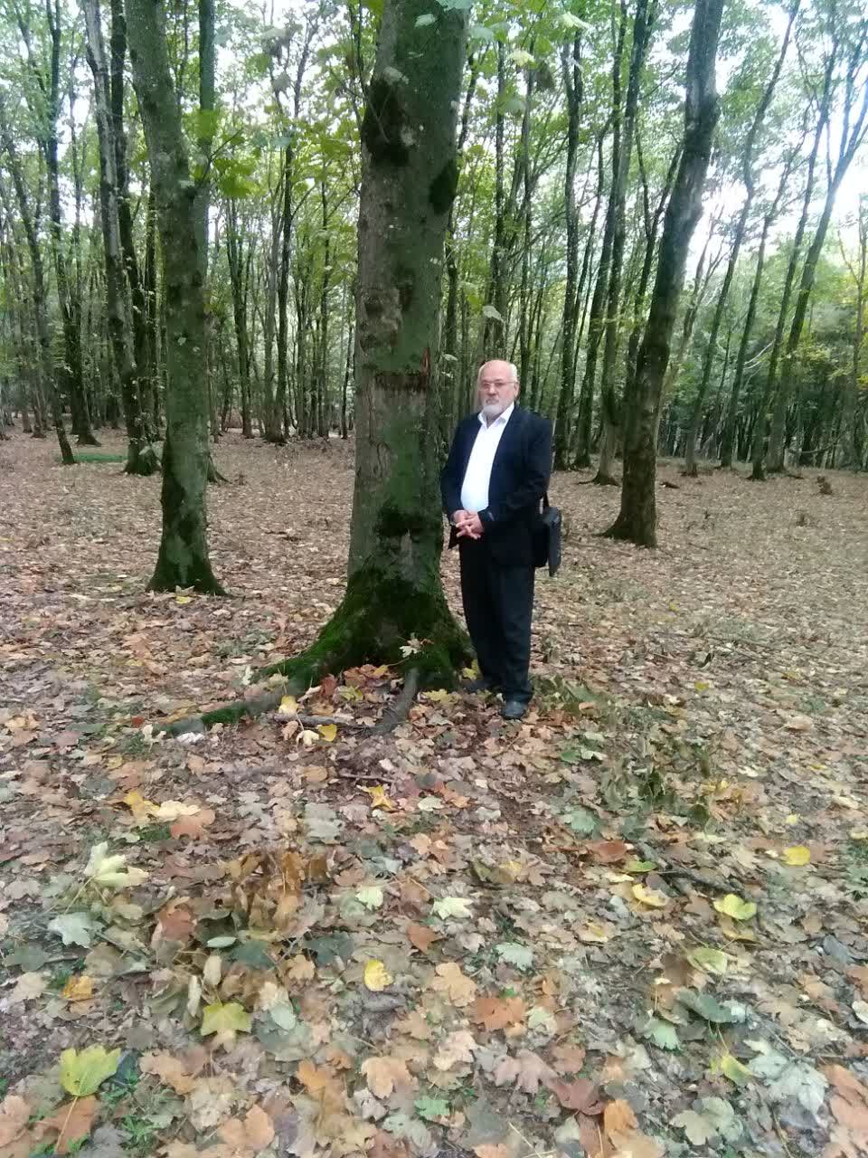 دامنه ۷ آبان ۱۴۰۴ آغوزی جنگل دارابکلا : عکاس : حمید طالبی