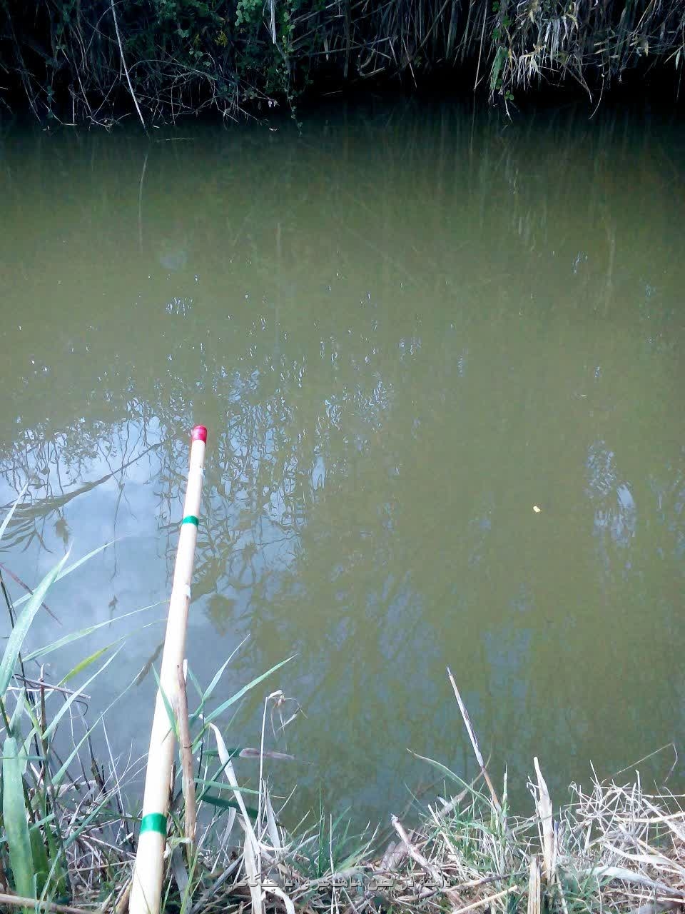 دامنه در حین ماهیگیری با چنگک در کانال صاحبی