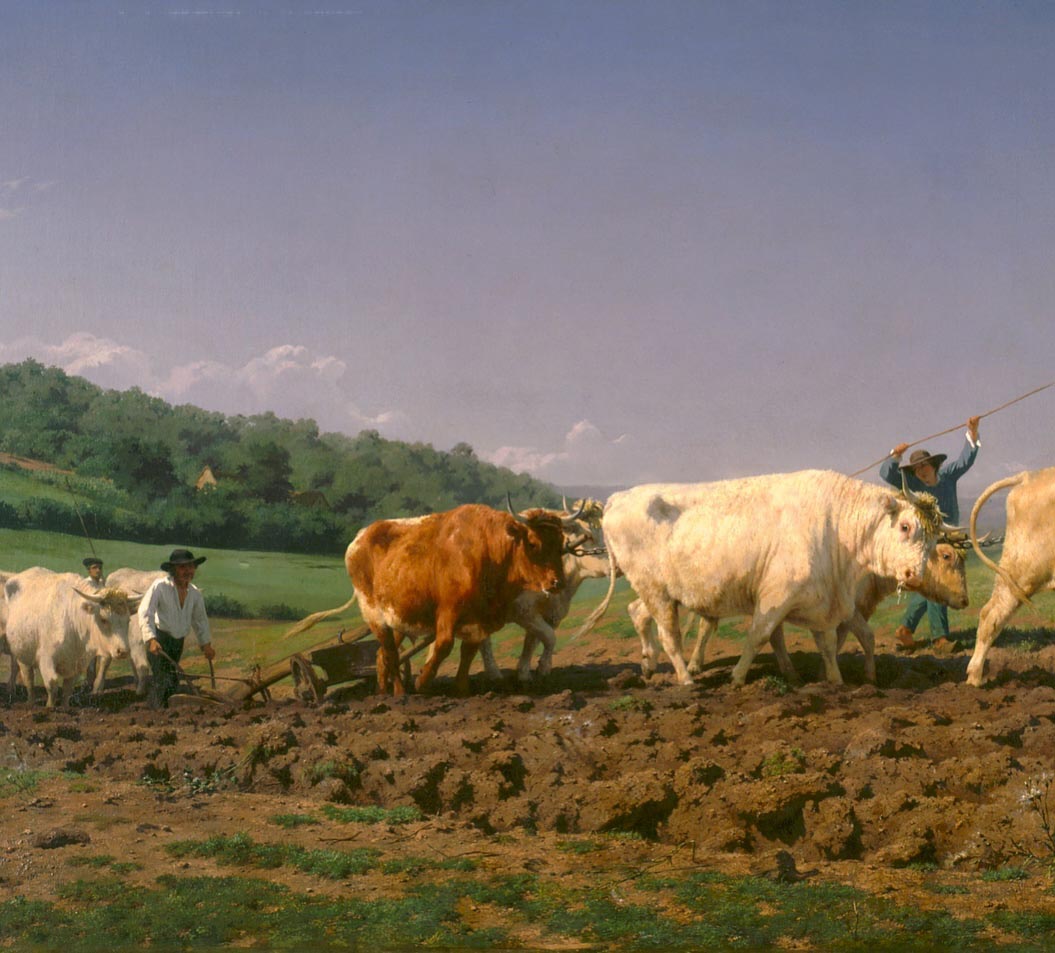 rosa_bonheur.jpg