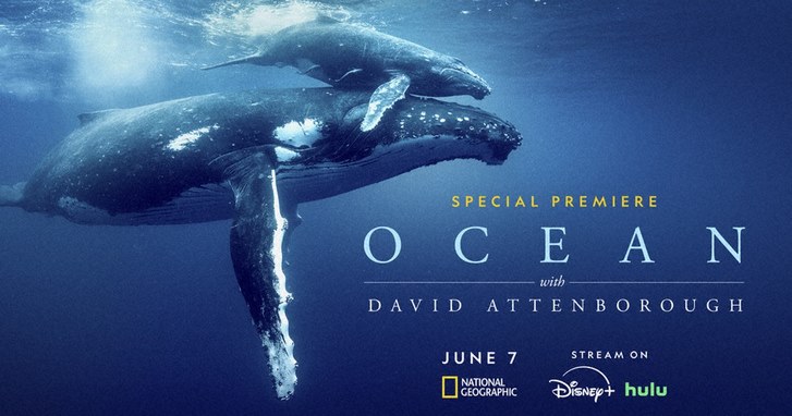 فیلم اقیانوس با دیوید اتنبرو Ocean with David Attenborough 2025 با دوبله فارسی